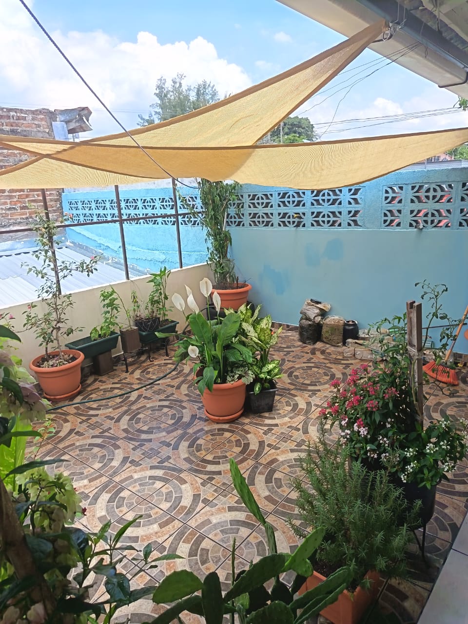 Terraza exterior adornado con plantas