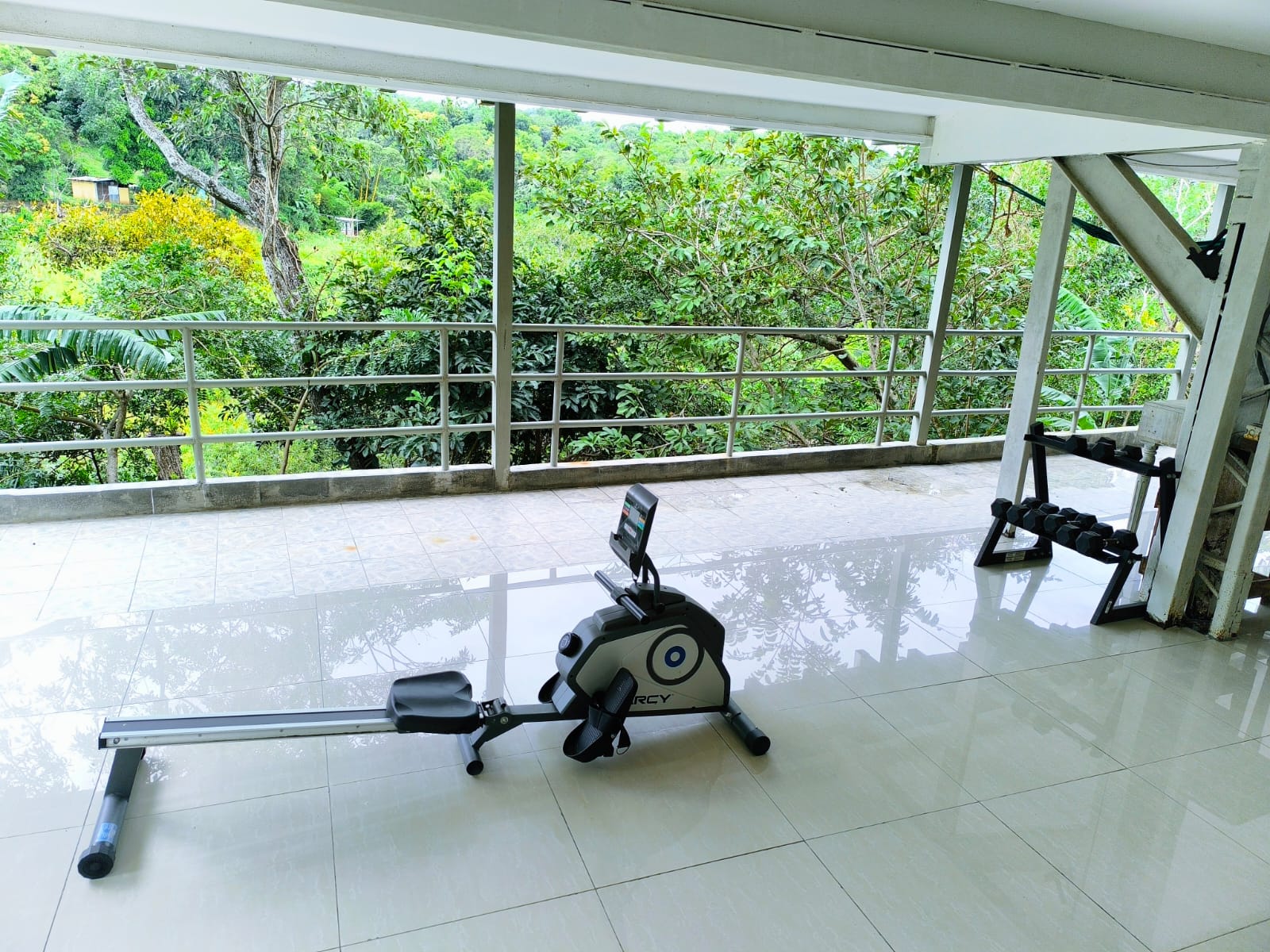 Terraza con maquina para hacer ejercicios y mancuernas colocadas en su respectivo espacioo