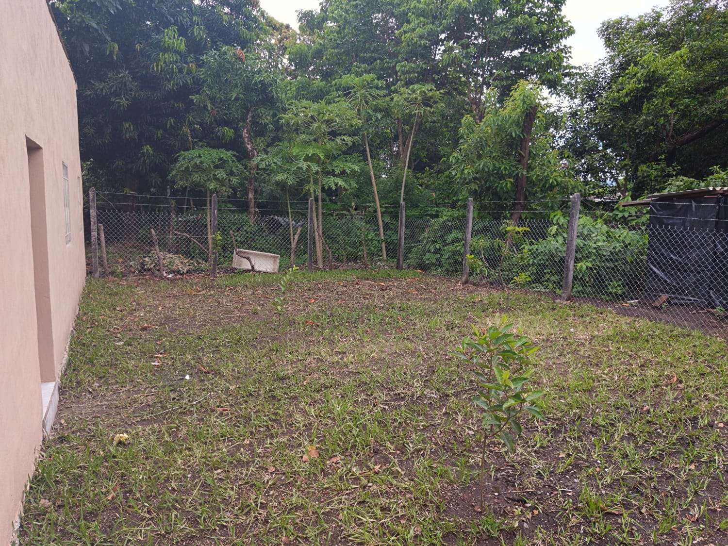Patio trasero recien engramado con demilitacion por medio de malla